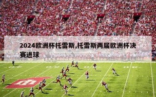 2024欧洲杯托雷斯,托雷斯两届欧洲杯决赛进球