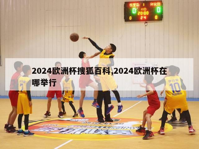 2024欧洲杯搜狐百科,2024欧洲杯在哪举行