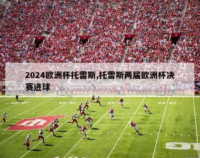 2024欧洲杯托雷斯,托雷斯两届欧洲杯决赛进球