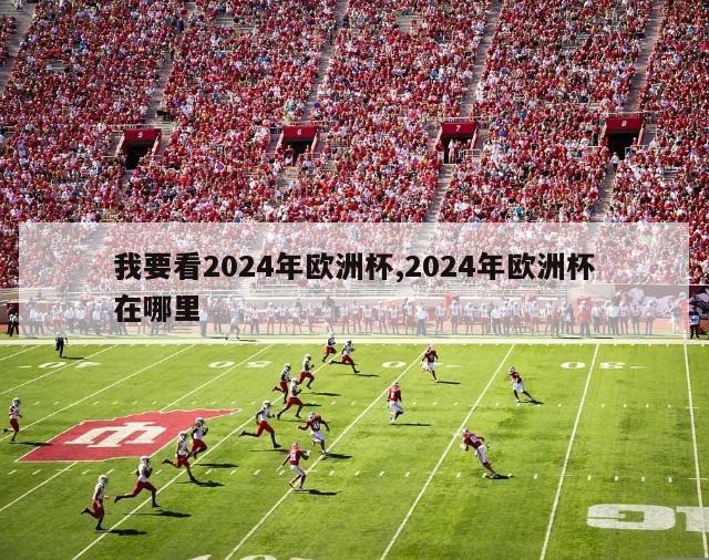 我要看2024年欧洲杯,2024年欧洲杯在哪里