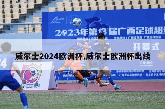 威尔士2024欧洲杯,威尔士欧洲杯出线