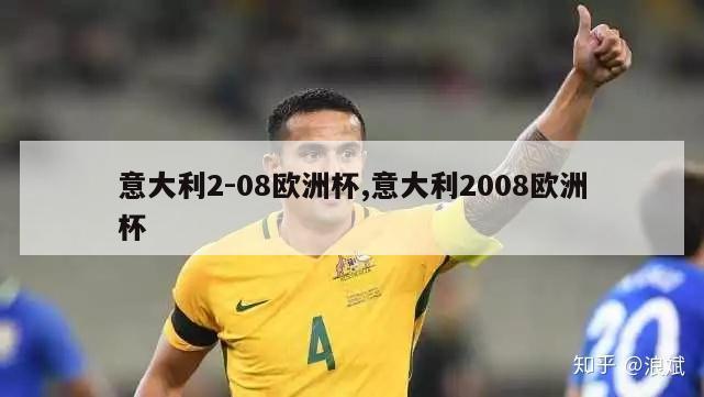 意大利2-08欧洲杯,意大利2008欧洲杯