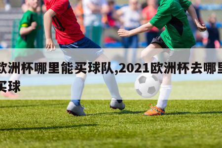 欧洲杯哪里能买球队,2021欧洲杯去哪里买球